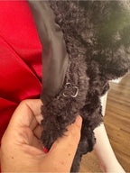 My Michelle Black Faux Fur Cropped Teddy Jacket