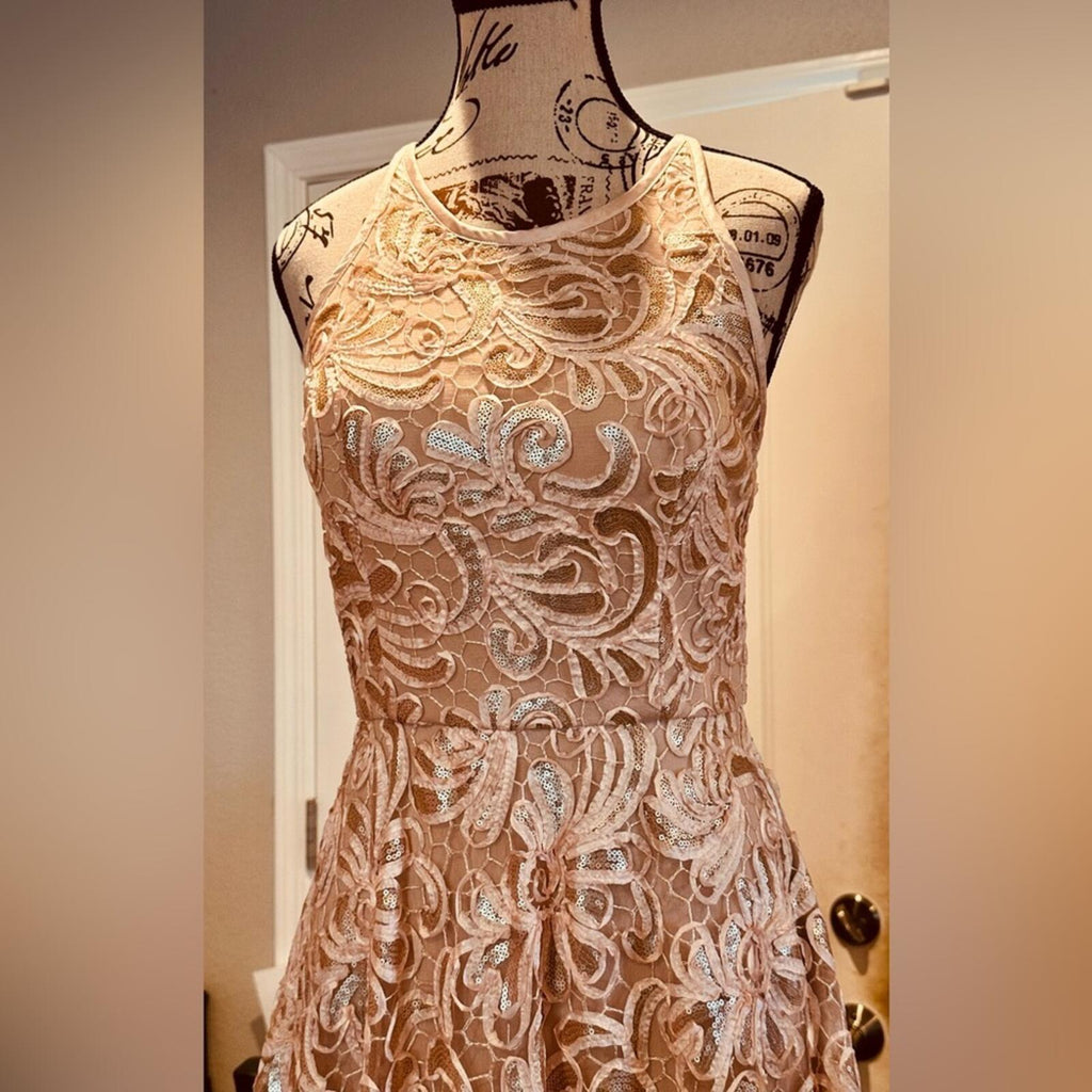 Betsy & Adam Lace & Sequin Formal Dress
