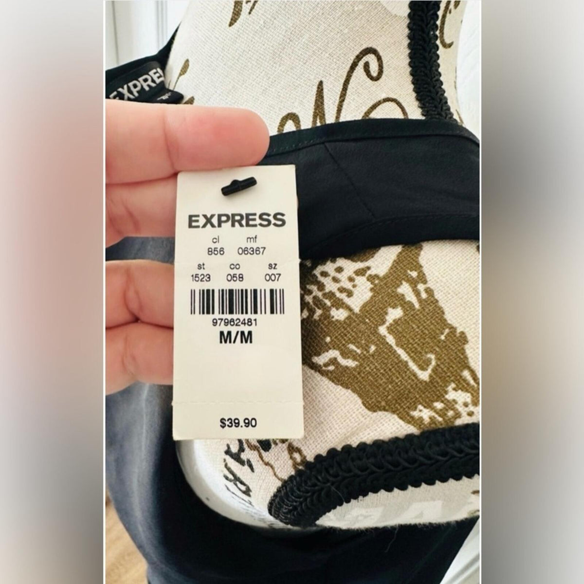 Express Black Sheer Sleeveless Blouse