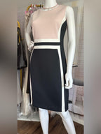 Calvin Klein Colorblock Sleeveless Sheath Dress