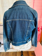 Vintage Paris Blues Embroidered Denim Jacket