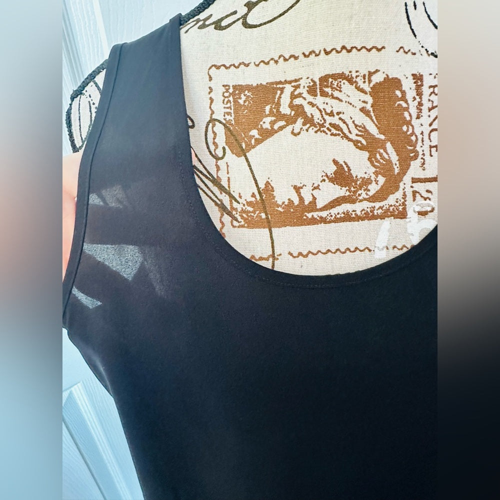 Express Black Sheer Sleeveless Blouse