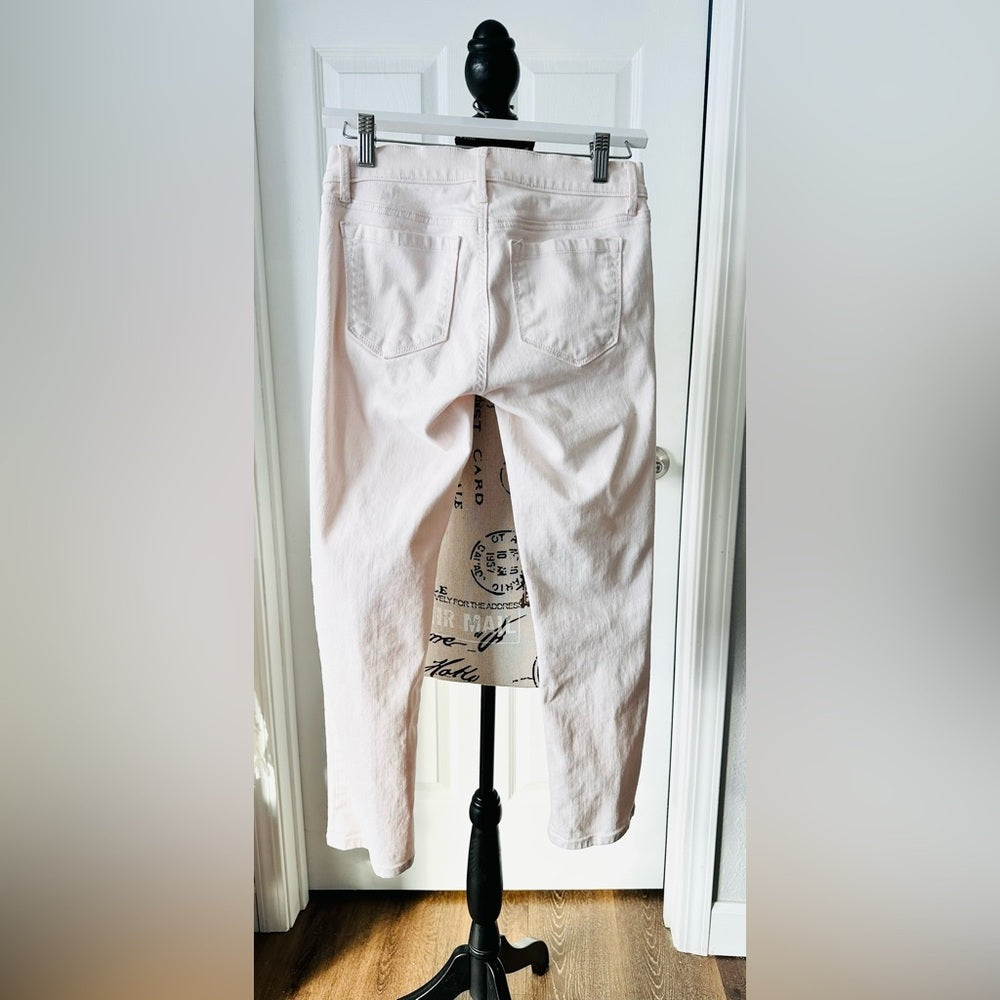 Ann Taylor Loft Blush Denim Pants