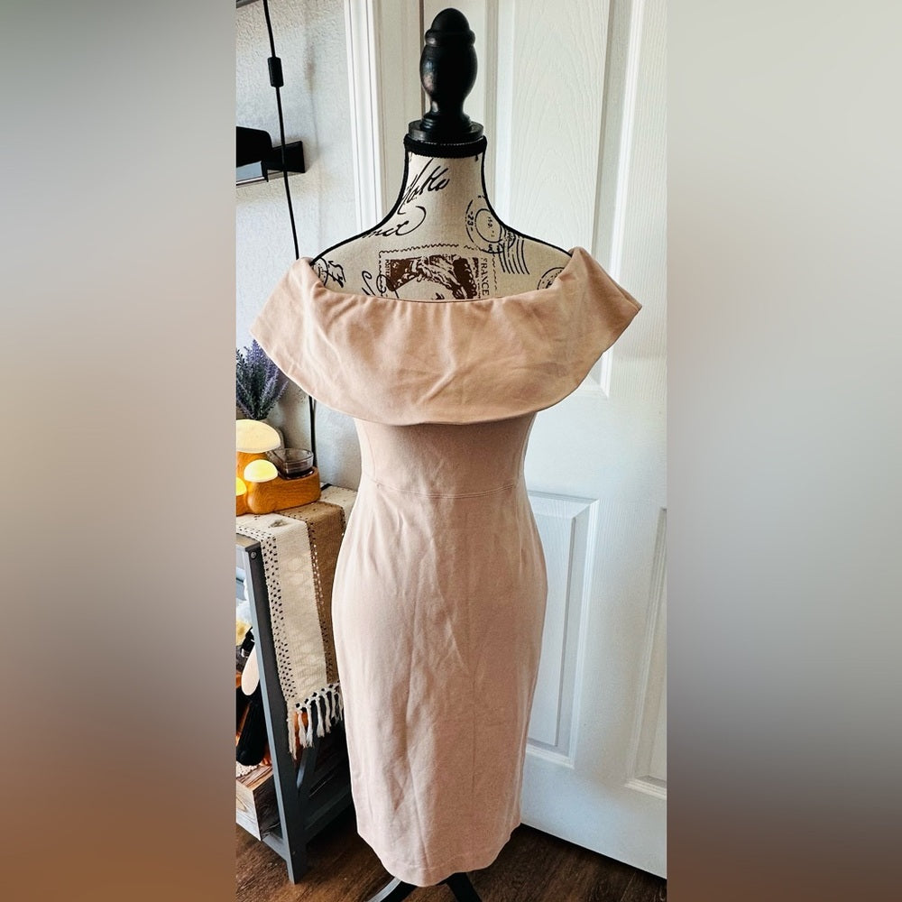 Strapless Dress in Soft Pink by Babaton