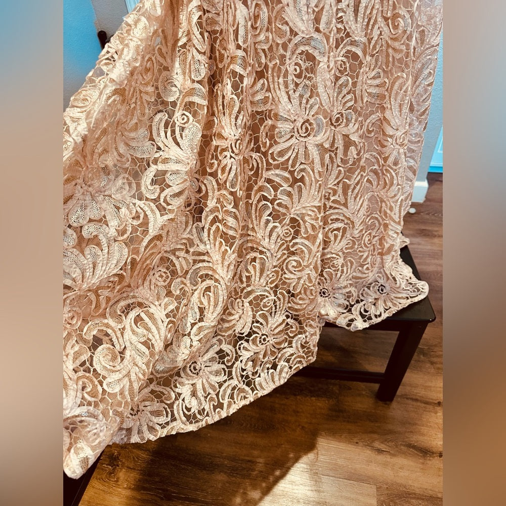 Betsy & Adam Lace & Sequin Formal Dress