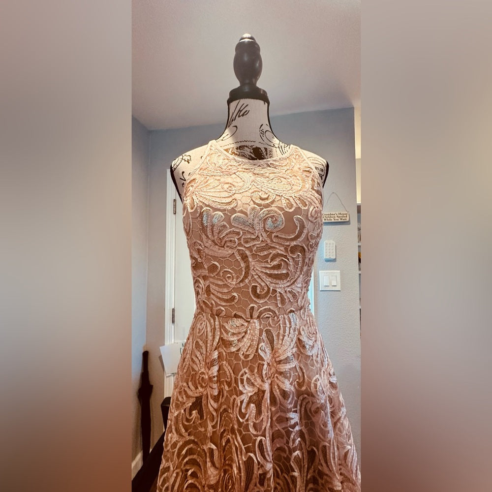 Betsy & Adam Lace & Sequin Formal Dress